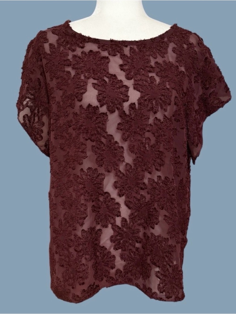 14th & Union Burgundy Wine Semi Sheer Textured Floral Short Sleeve Blouse ~ XL